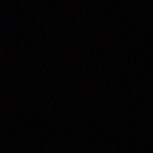 Meet your Posher, Ned